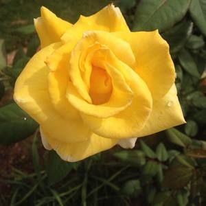 Meet your Posher, Mand